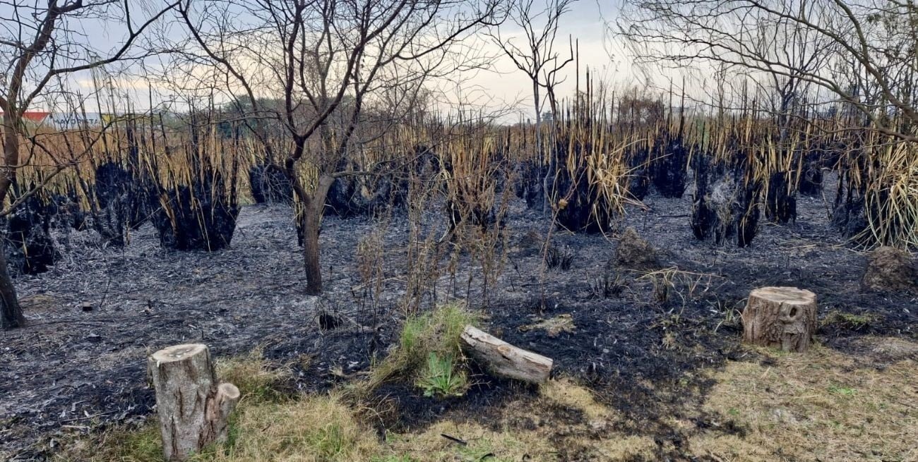 Advierten sobre los efectos negativos posteriores de los incendios en humedales
