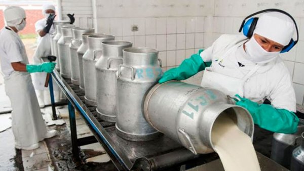 Crisis en la industria l&aacute;ctea