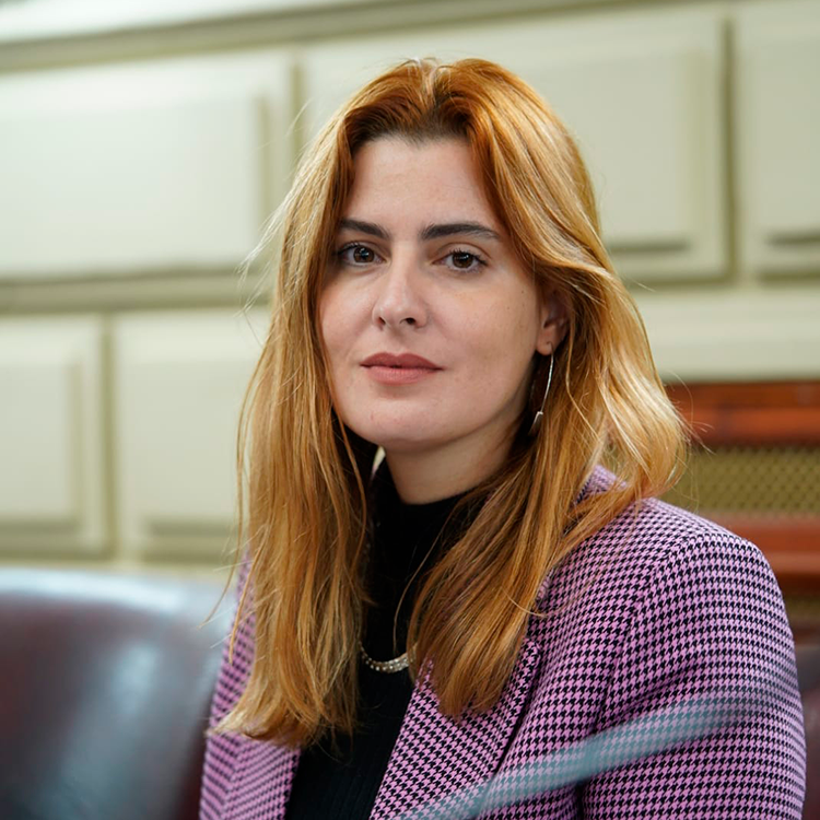 Lionella Cattalini: “El proyecto de ley de Omar Perotti, era un proyecto que no hablaba de Emergencia en Seguridad”
