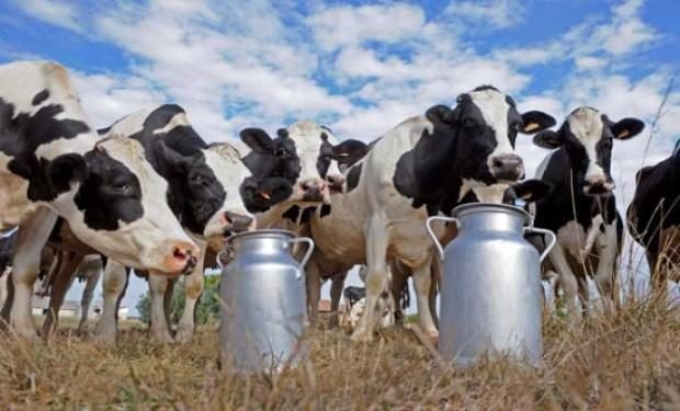 Santa Fe lidera en producci&oacute;n nacional de leche
