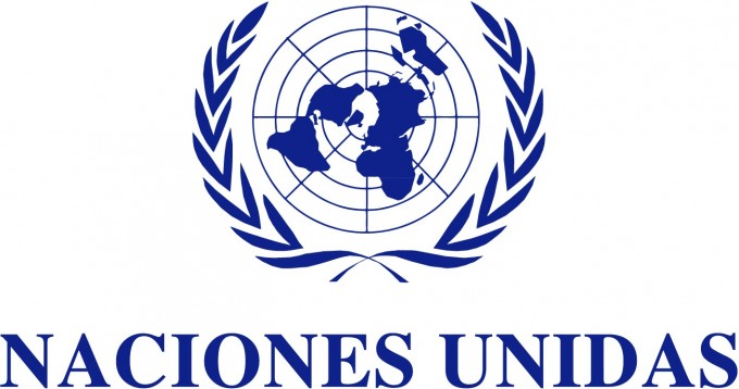 Advertencia de la ONU sobre el aumento de violencia de género en Argentina