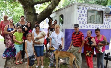 Castración de mascotas en Santo Tomé 