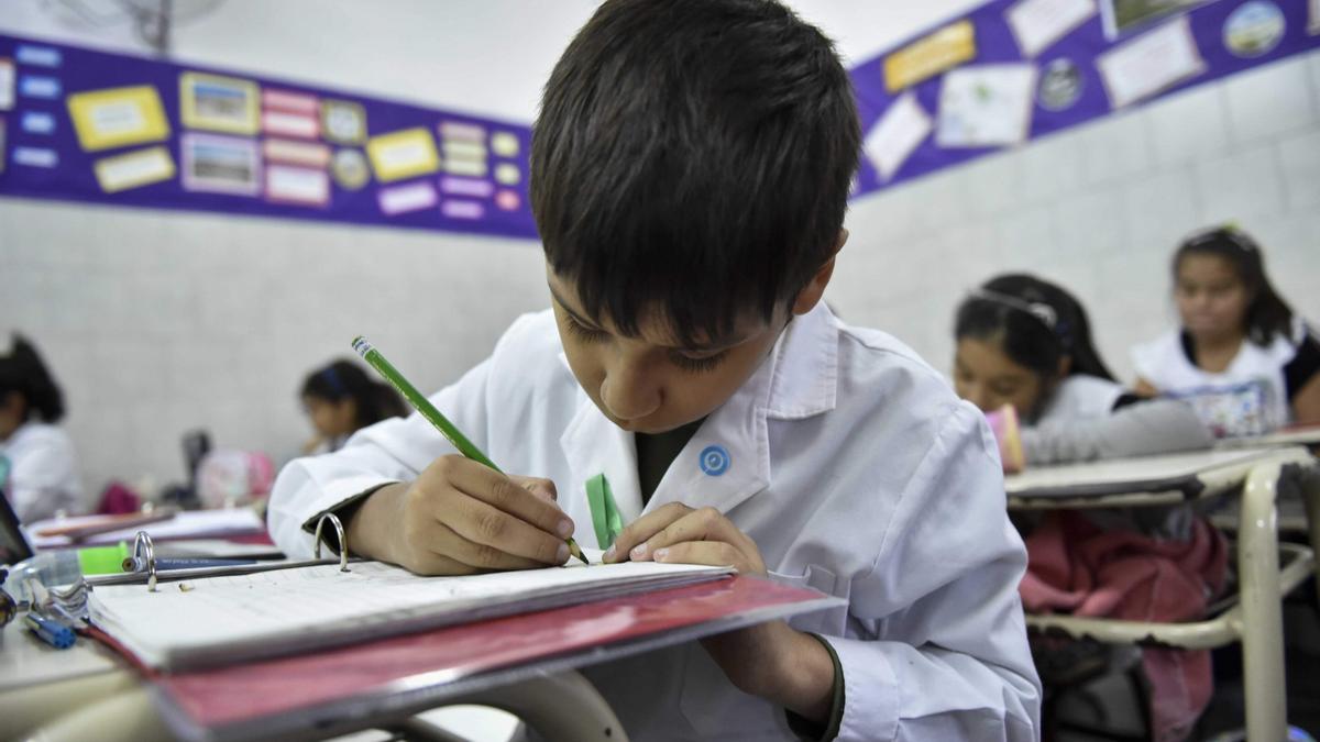 Solo el 41% de los chicos alcanza un nivel normal de lectura en Santa Fe