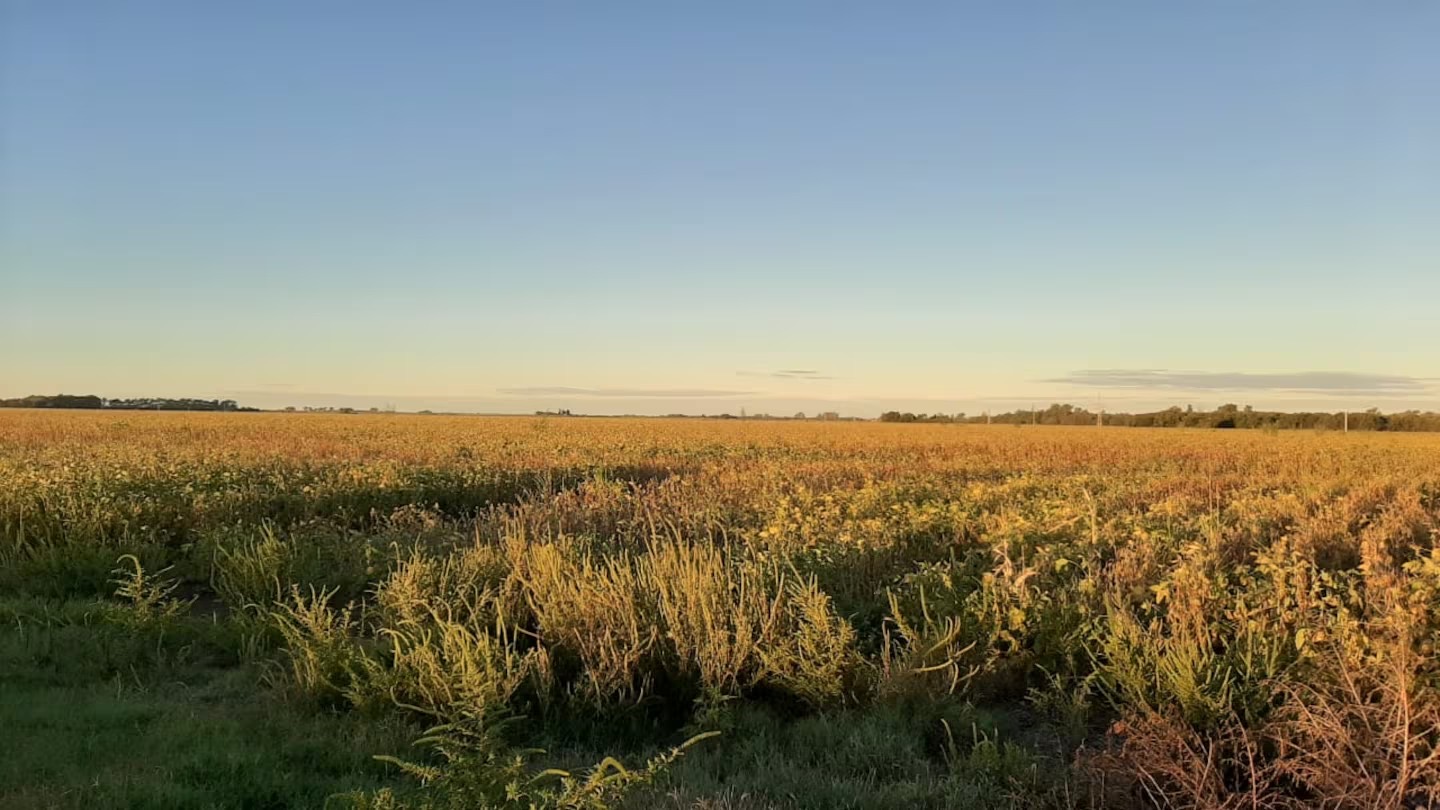 Guillermo Beckmann: &ldquo;La emergencia agropecuaria no llega al peque&ntilde;o productor&rdquo; 