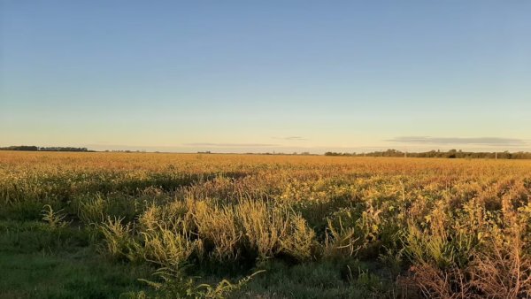 Guillermo Beckmann: &ldquo;La emergencia agropecuaria no llega al peque&ntilde;o productor&rdquo; 