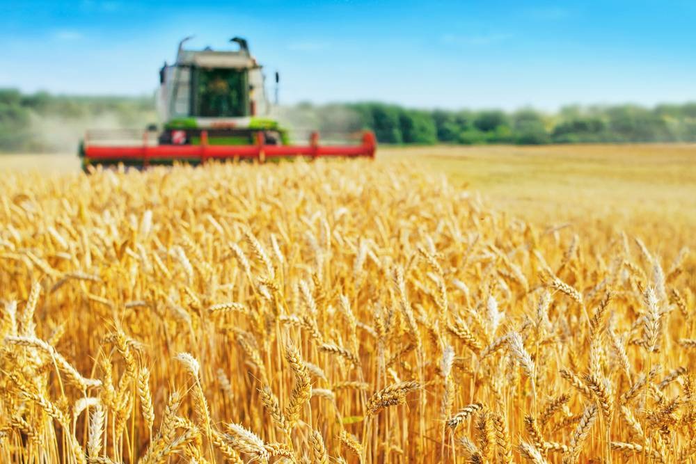 El campo manifiesta su preocupación ante el fin de la baja de retenciones