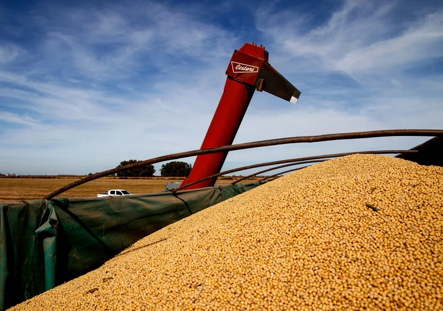 Las exportaciones santafesinas est&aacute;n impulsadas por el agro 
