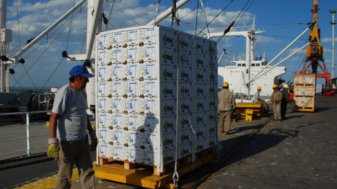 Crecieron 31,4% en junio las exportaciones argentinas de Manufacturas de Origen Industrial