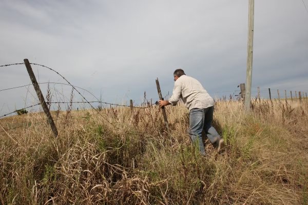 El 70% de los productores asegura haber sido v&iacute;ctima de la delincuencia