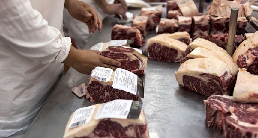 El sector frigorífico sugiere que para que haya más producción de carne debe haber un plan ganadero de 5 años