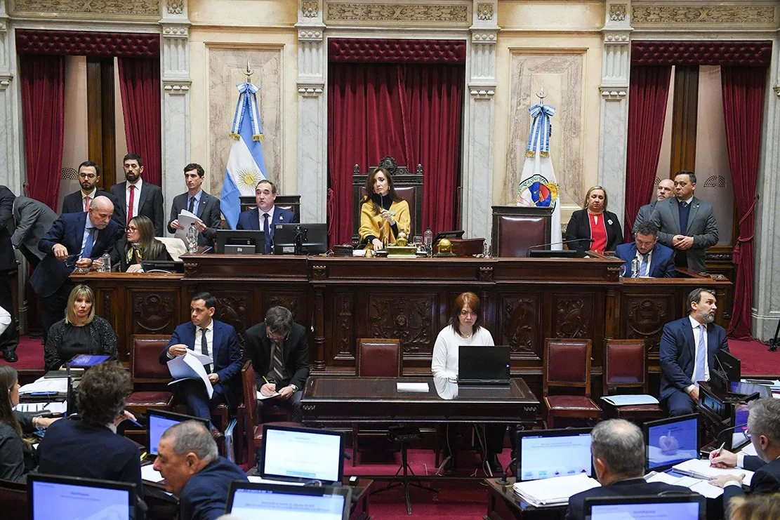 El Senado convirtió en ley el Financiamiento Universitario y la emergencia en el Garrahan