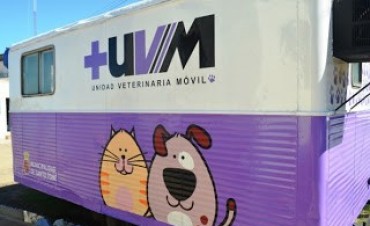Castración de mascotas en vecinal Adelina Centro de Santo Tomé 
