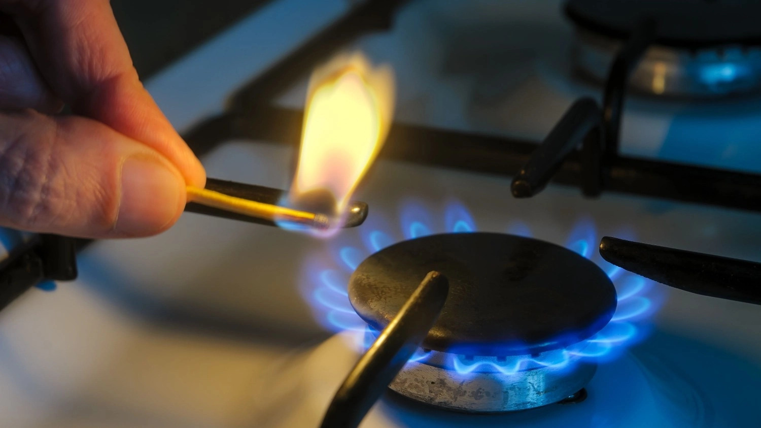 Victoria Noriega: “La actualización del gas va a ser mensual”