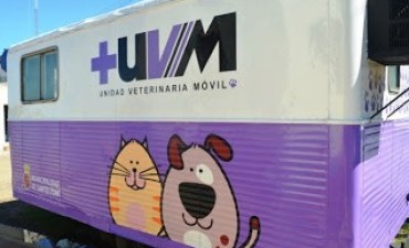 Castración de mascotas en vecinal Dos Rutas de Santo Tomé