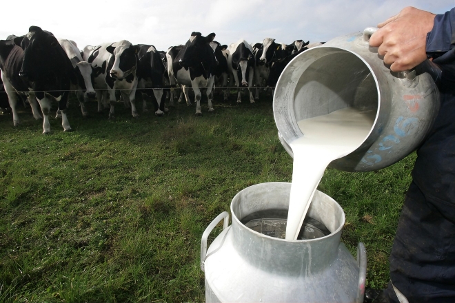 Productores lecheros apuntan a una “exagerada” carga tributaria