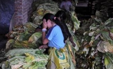 Trabajan más de setecientos mil chicos en el país