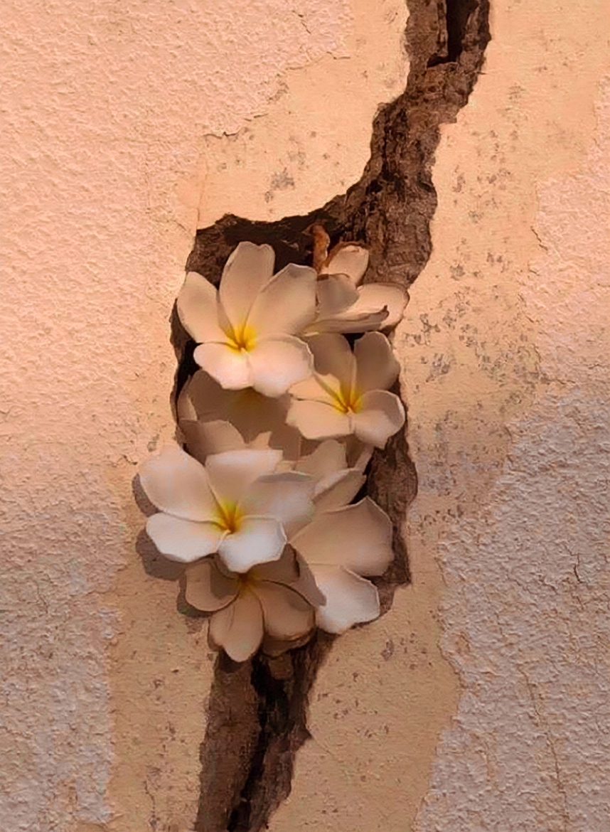 Pablo Petroni: “El problema de la felicidad es genuinamente humano”