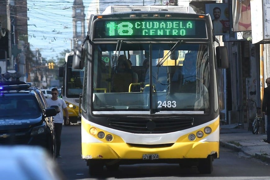 Empresas de colectivos aseguran que no pueden pagar salarios 