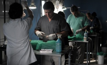 Castración de mascotas en vecinal Sarmiento de Santo Tomé 