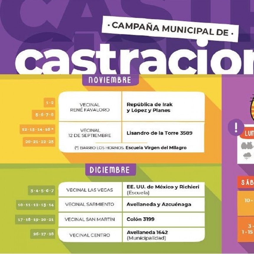 Castración de mascotas en vecinal Sarmiento de Santo Tomé 