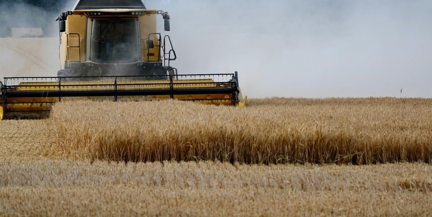 Nueva reducción de retenciones a granos y subproductos agrícolas