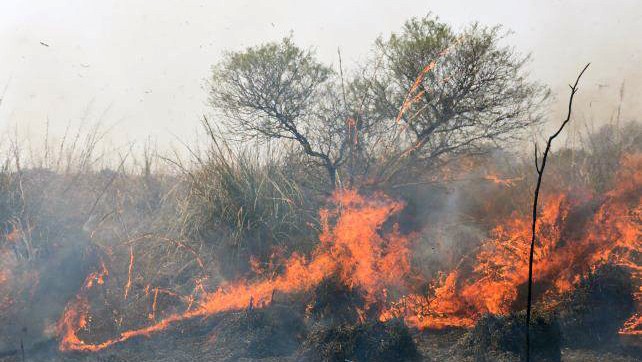 Bajó un 50% la intervención de bomberos por quema de pastizales