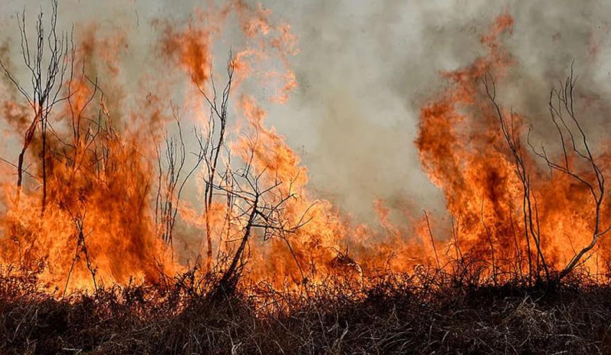 La Corte Suprema condenó al Estado Nacional y a tres provincias por quema de pastizales 
